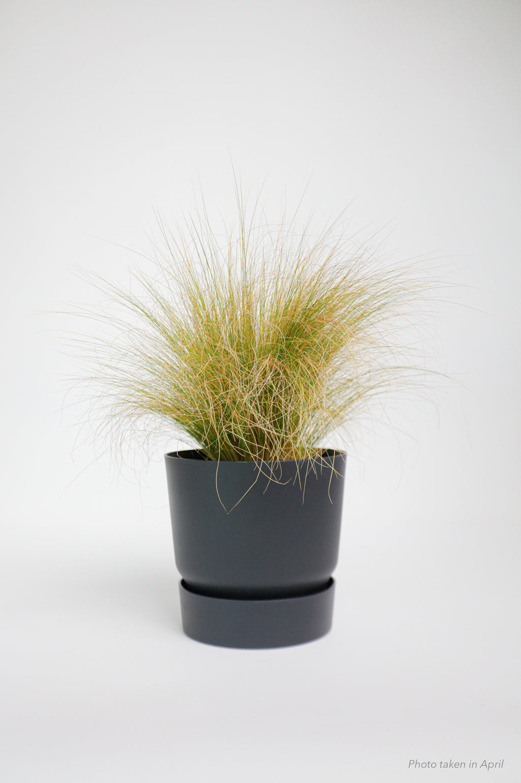 products/SotoProductShootLowQ-2006.jpg